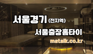 서울출장마사지